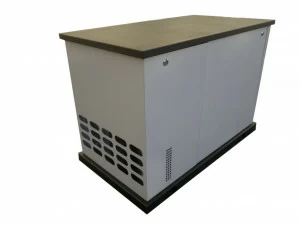 Бензиновый генератор REG GG12-380 S в кожухе