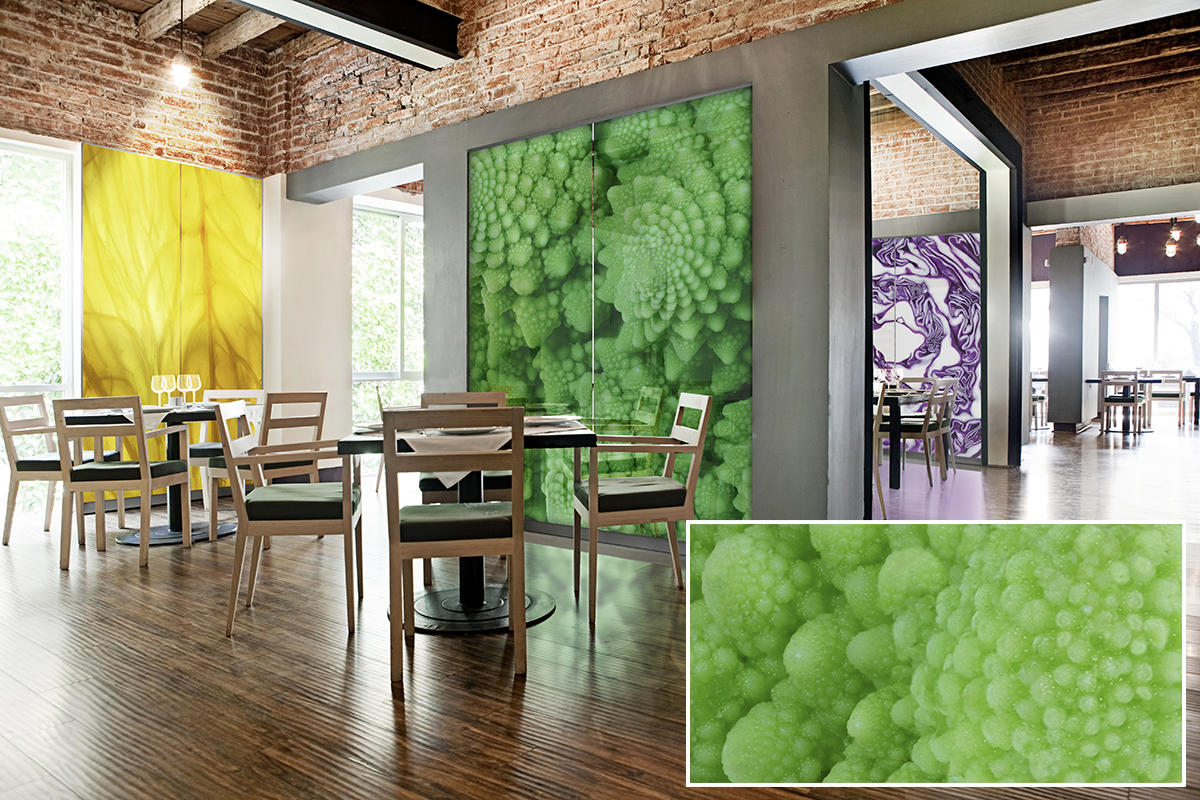 FSRT376 Зум-стекло Vivispectra с прослойкой в ​​оттенках серого гвоздики Forms-surfaces  - Вид №12