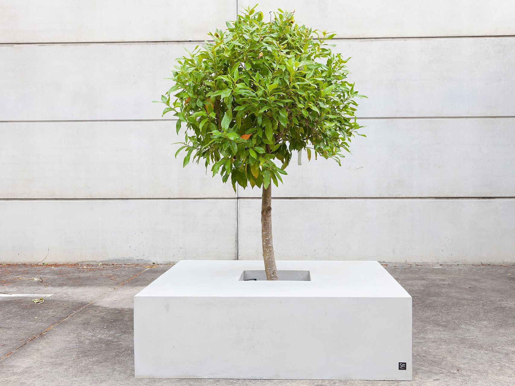 Скамейка из армированного волокном бетона со встроенной сеялкой SIT SQUARE ARCH-00145633 - Вид №12