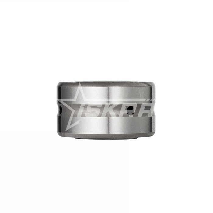 IS1537 Подшипник NA4904-2RS ISKRA  - Вид №6