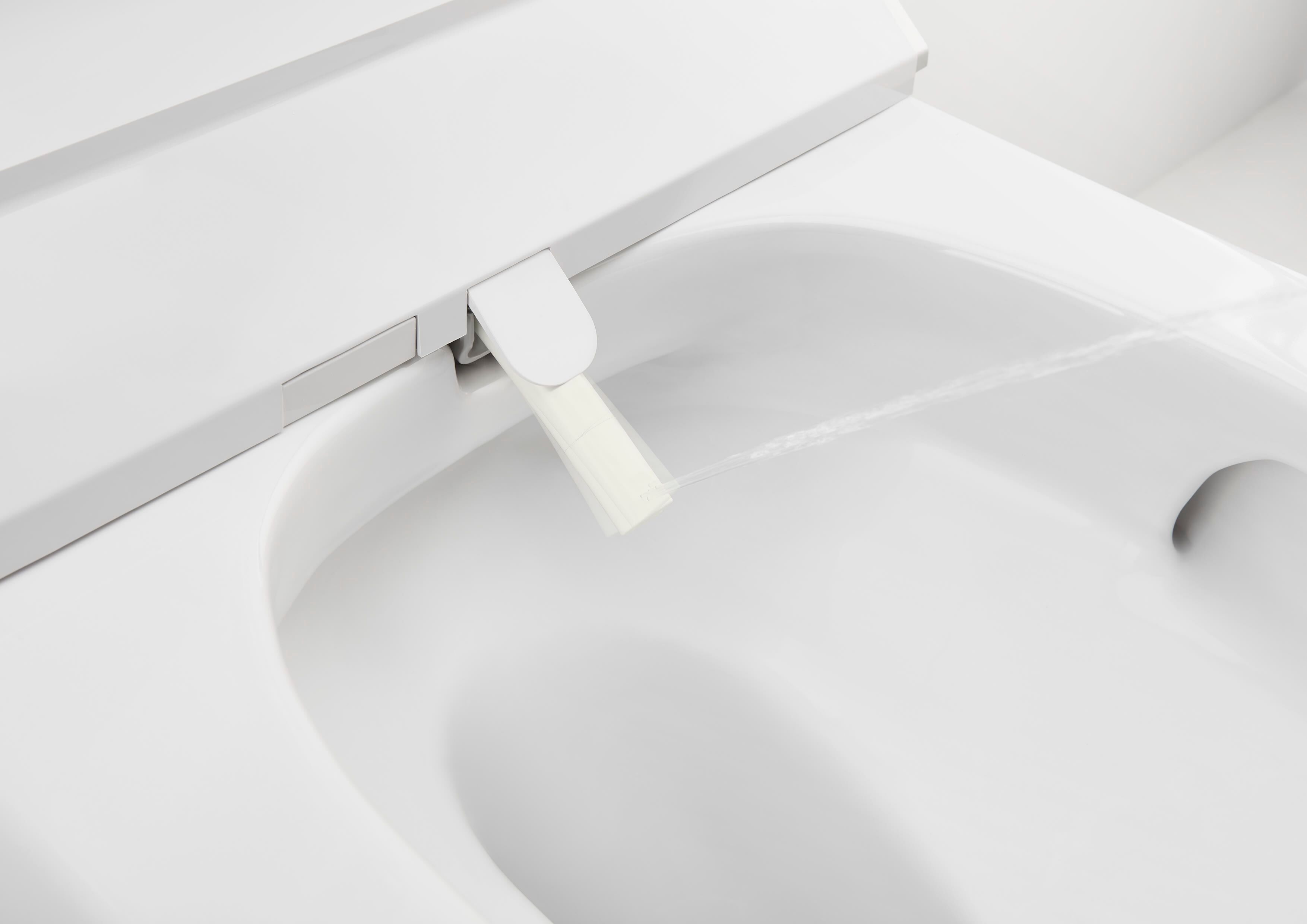 Керамический туалет для биде без пола Roca Inspira ARCH-00131655 - Вид №5