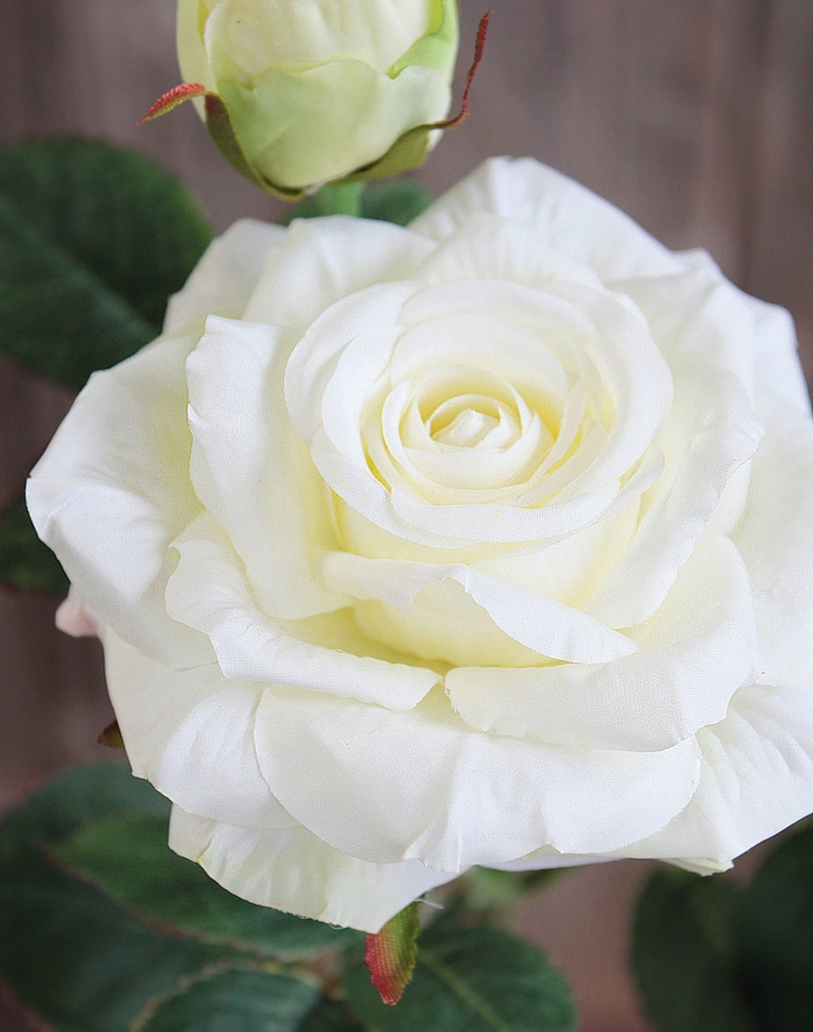 3130 778 a3 Шелковая роза, 1 цветок, 1 бутон, 37 см, real touch soft, бежево-белая H-andreas 