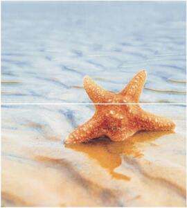 Decor Starfish 1 Panno 45x50