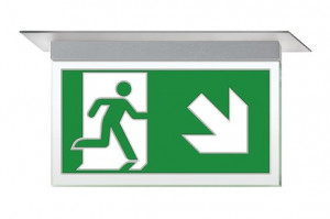 DST-2032 Ikusmet 2211-m Daisalux Светильники сигнальные Серебристо-Серый