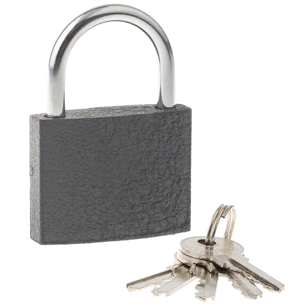 Замок навесной ARMEX ВС1-50 для надежной защиты дверей и ворот 89393330 STLM-1488095