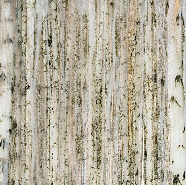 Декоративная панель Organic Day in Aspen Alex Turco DAYINASPEN