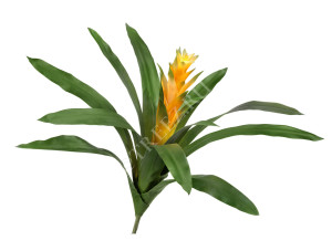 20.0615192YL Гусмания Кардинал жёлтая Цветочная коллекция