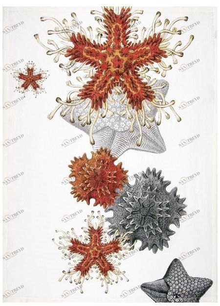 The NapKing Льняное кухонное полотенце Asterias sun-id-1458723