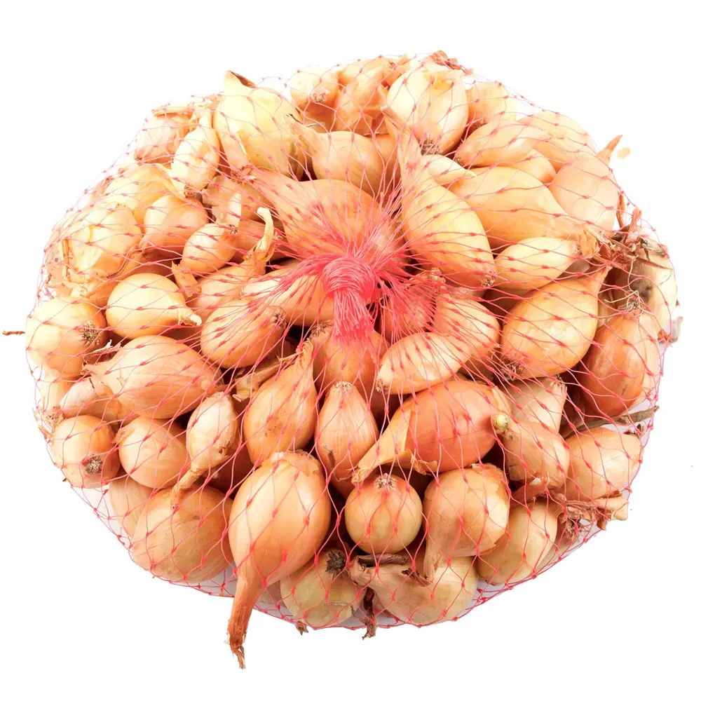 Лук-севок Сеттон 0.5 кг - качественный посадочный материал 89047696 ПОИСК STLM-1568731