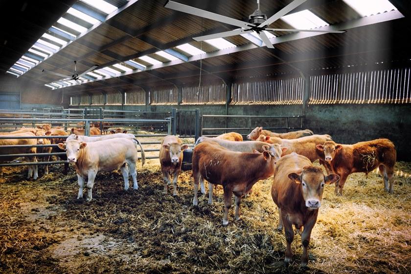 Vortice Nordik hvls super blade  61080  - Вид №4