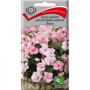 83227374 Семена Бальзамин махровый «Афина Юнона»