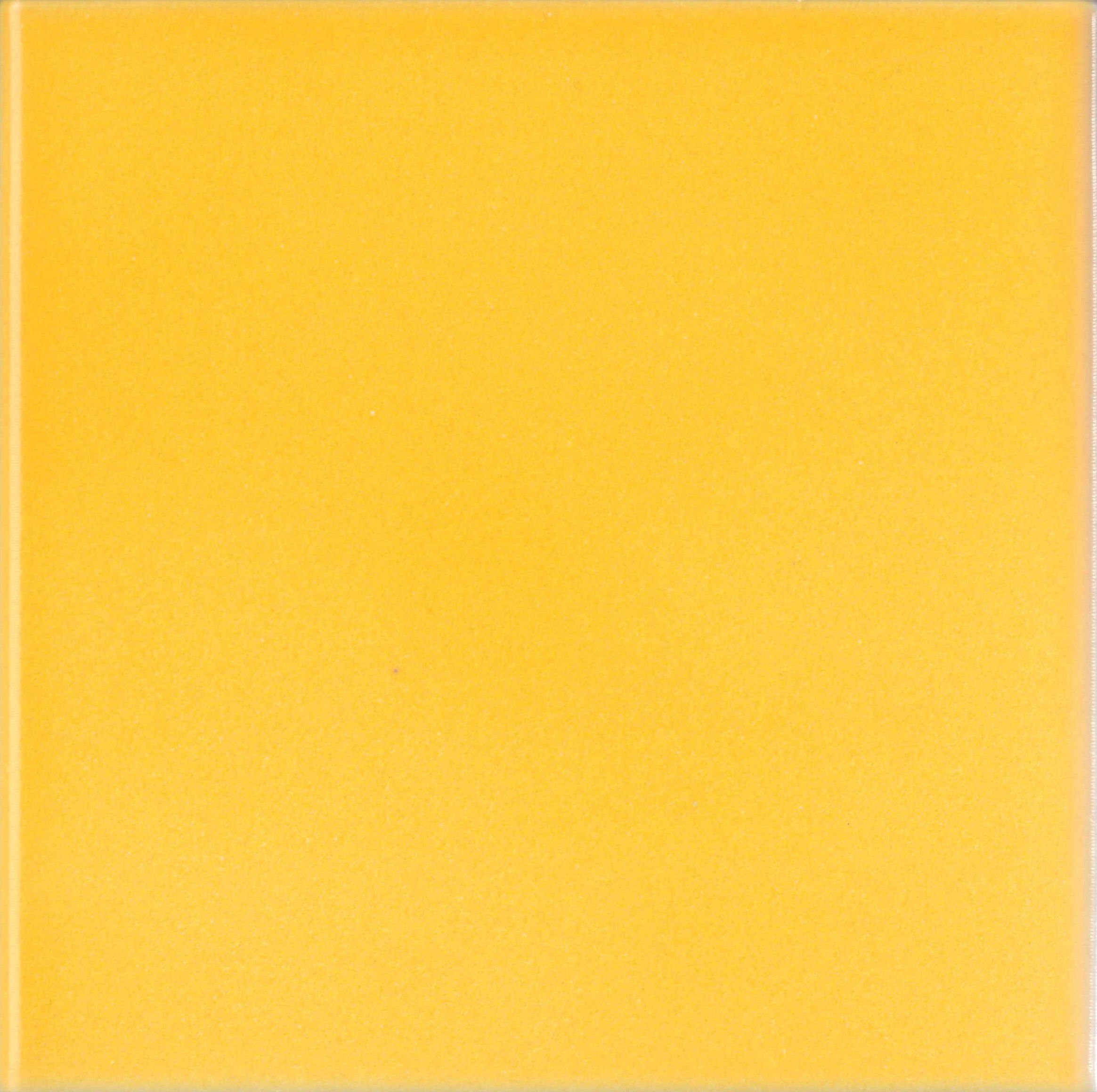 Пол / покрытие ручной работы La Riggiola одноцветный ARCH-00080124 - Вид №1