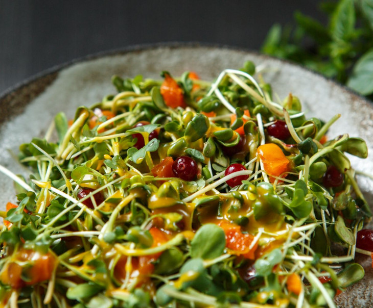 9744 Микс из микрозелени "Фрути Микс" Вкусляндия  - Вид №4