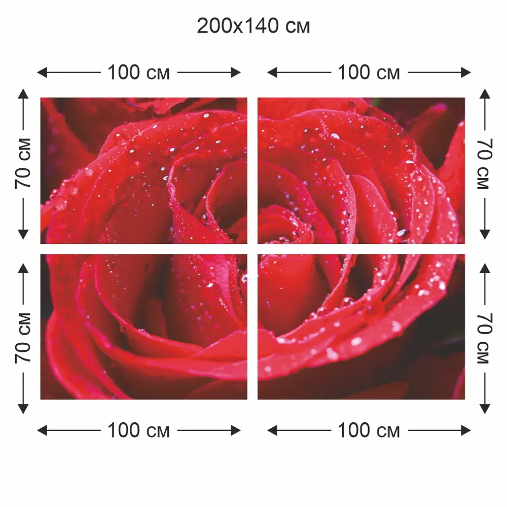 Фотообои Фламенко бумажные 200x140 см Симфония STLM-2114610 - Вид №3