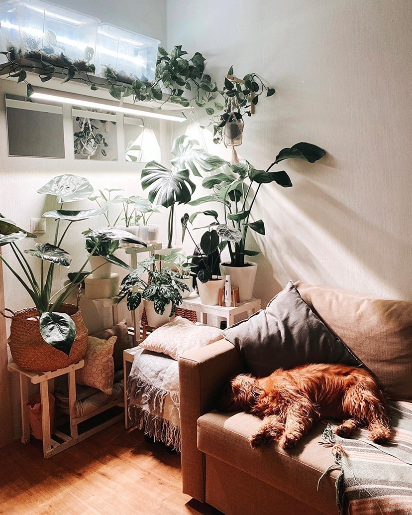 1118 Фитолампа для растений 50 Ватт. Длина 140 см LAB.Space  - Вид №7