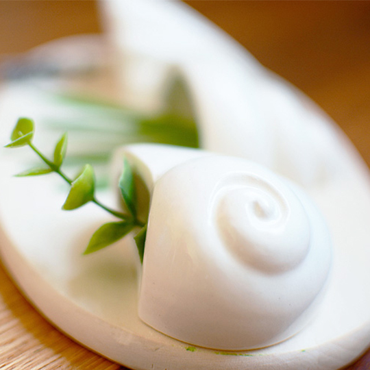 Набор для выращивания Eco Ракушки белый ЭКОЧЕЛОВЕКИ 4005H - Вид №1