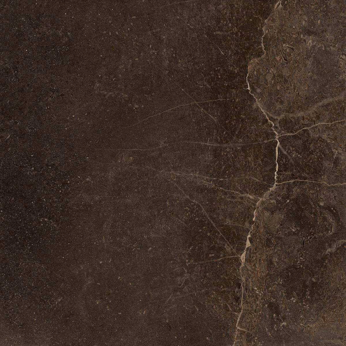 Пол / облицовка керамогранита с эффектом камня CERAMICA FONDOVALLE Planeto ARCH-00049657 - Вид №9