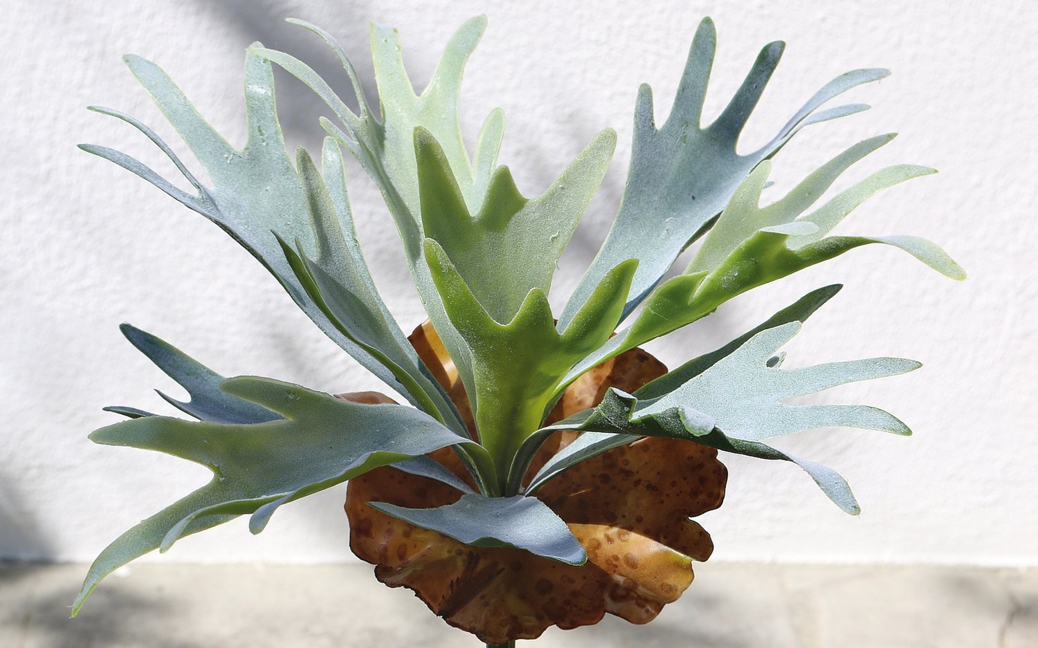 4912 809 a3 Искусственный папоротник оленьего рога, 32 см, зелено-серый H-andreas  - Вид №3