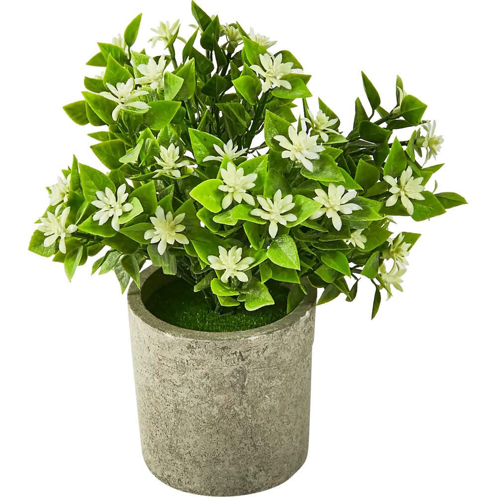 88999720 Искусственное растение Жасмин пластик 20 см STLM-0817719 Santreyd 