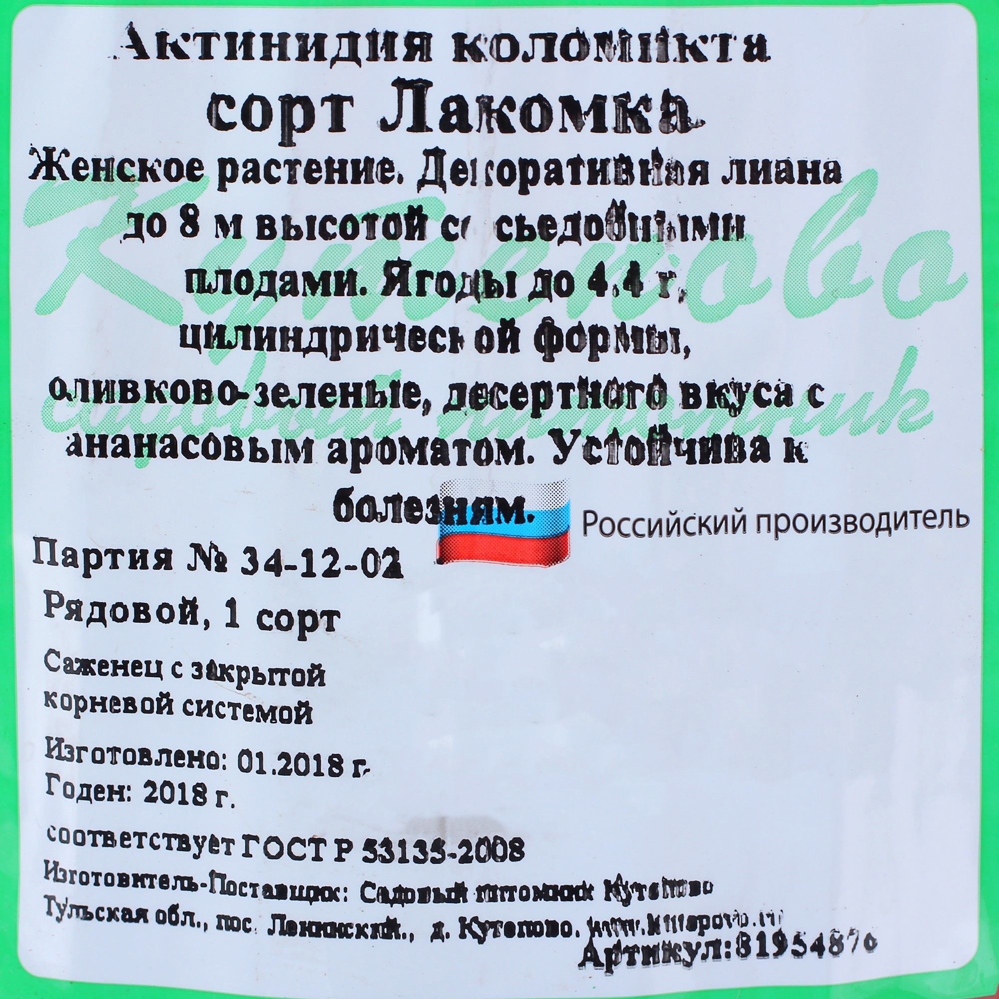 Актинидия Лакомка Santreyd - декоративная лиана с плодами ананасового вкуса 81954876 STLM-0015209 - Вид №2