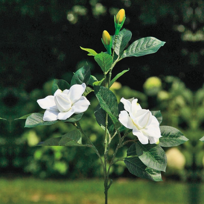 L30X6 Цветок Гардении Adriani e Rossi белый  - Вид №1