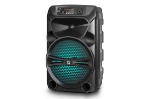 16379650 Портативная акустика G110, 12Вт, Light/BT/FM/USB/LED/AUX, 65110 Defender