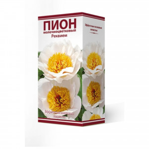 83600310 Пион травянистый Реквием луковица 2-3