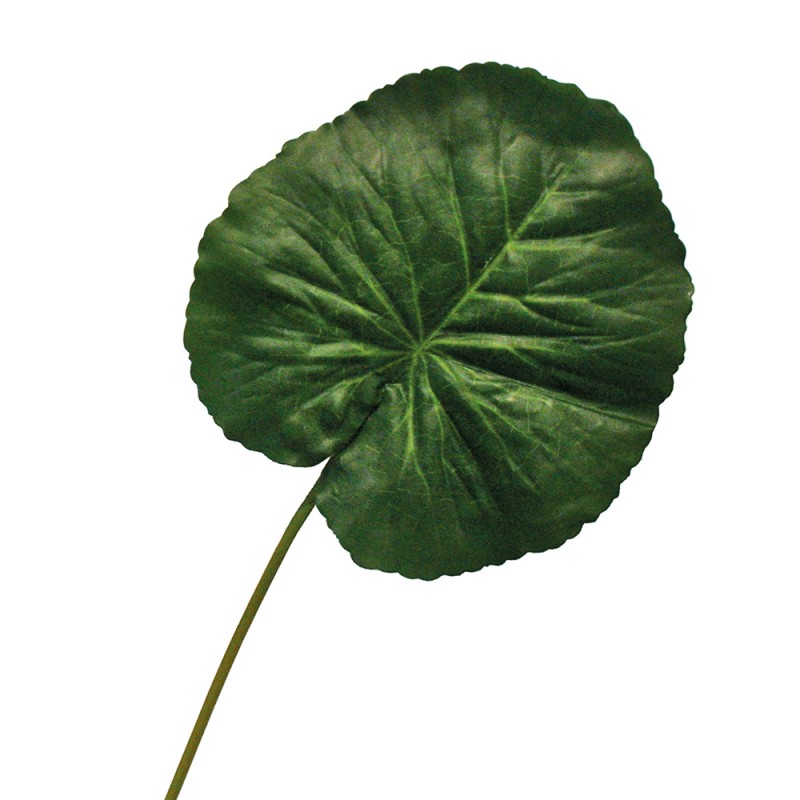 L149X7 Лото цветочный лист Adriani e Rossi Зеленый 