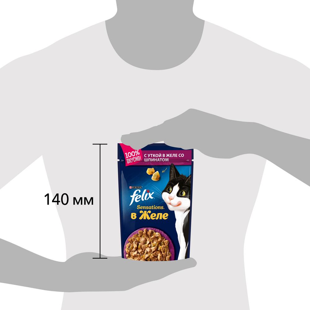 ПР0026301 Корм для кошек Sensations с уткой в желе со шпинатом, пауч 85 г FELIX  - Вид №9