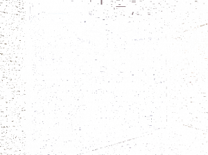 CARMENTA Эмоциональный душ