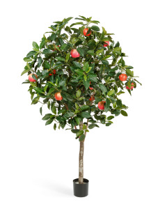 10.59506N Яблоня Цветочная коллекция