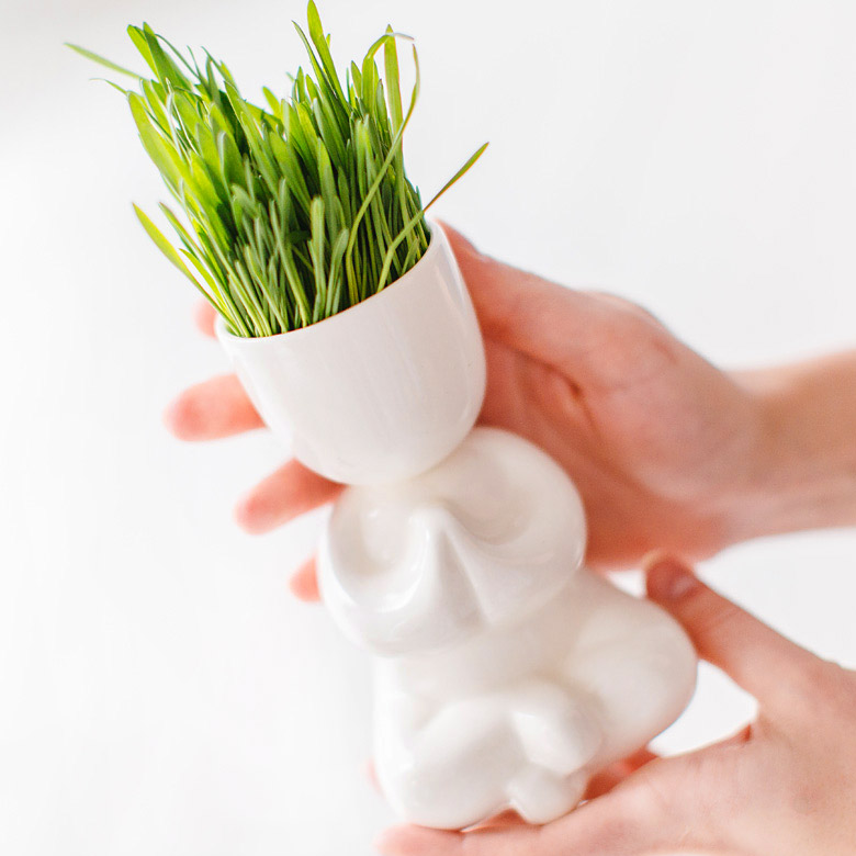 Набор для выращивания Eco Йог ЭКОЧЕЛОВЕКИ 1004 - Вид №1