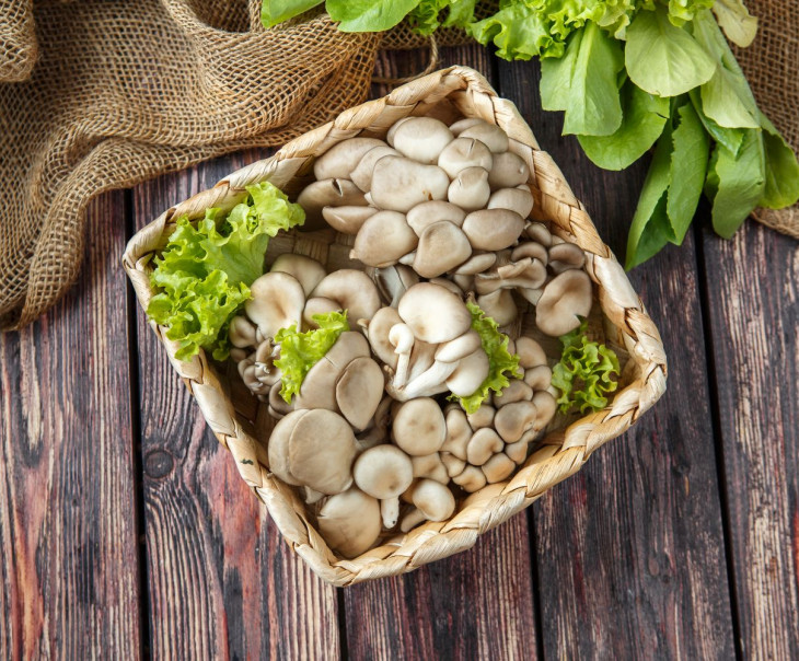 2848 Грибы вешенки фасованные Вкусляндия 