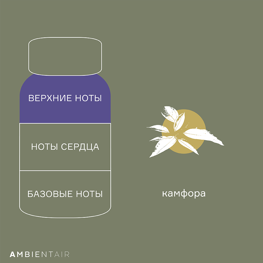 MK100ACEF Диффузор ароматический enchanted forest, eль, 100 мл Ambientair  - Вид №5