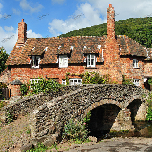 C1-373 Фотообои DIVINO Collection C 2.38х3 м C1373