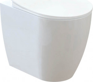 FE350-00CB00E-0000 FREE Унитаз напольный с биде Creavit Free