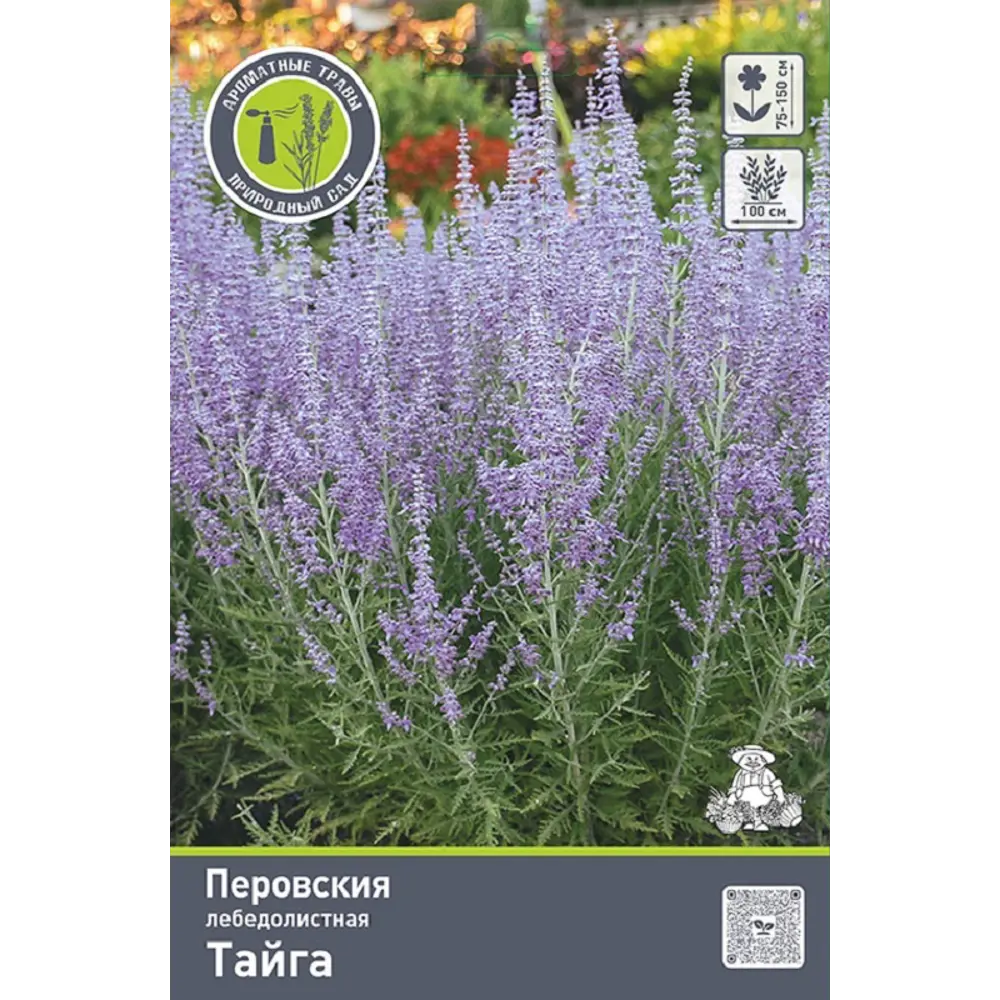 Перовския лебедолистная Тайга ПОИСК STLM-2094754