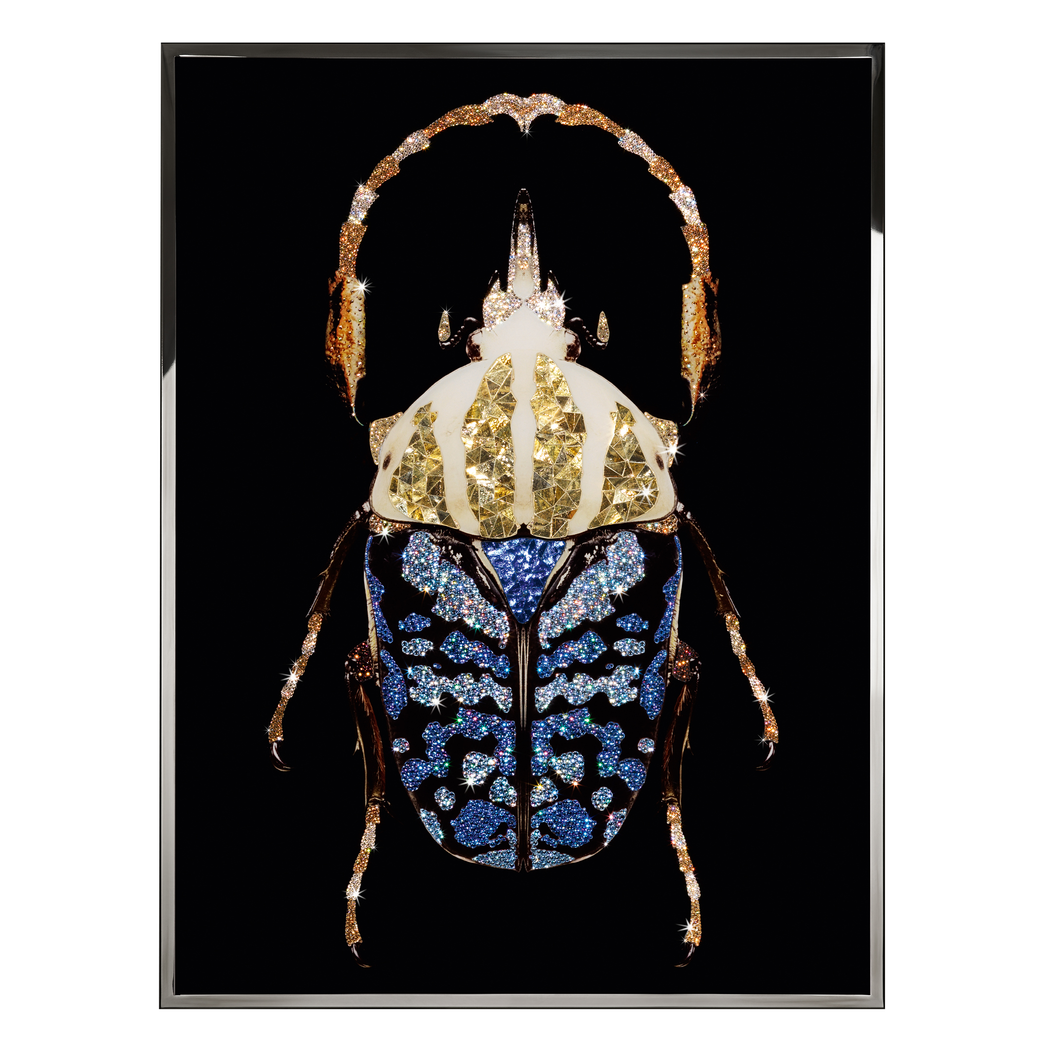 Coleottero Смешанная техника Visionnaire  - Вид №1