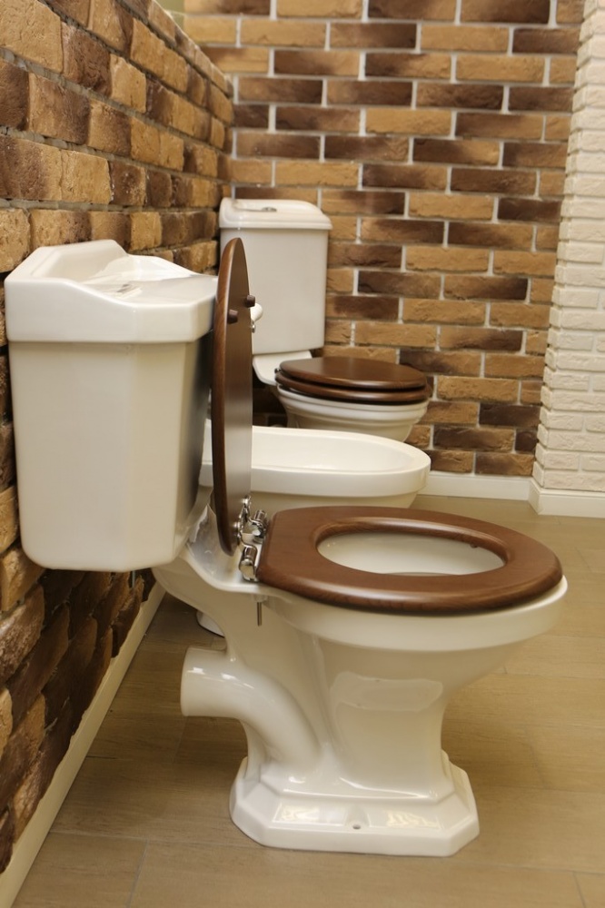 01A200029/01A200031/01A200911 Унитаз Heritage Dorchester Santreyd - Вид №6