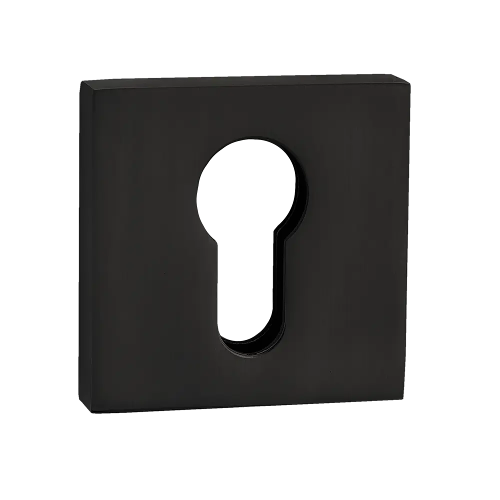 Накладки на цилиндр Renz ЦАМ цвет черный 2 шт STLM-2059822