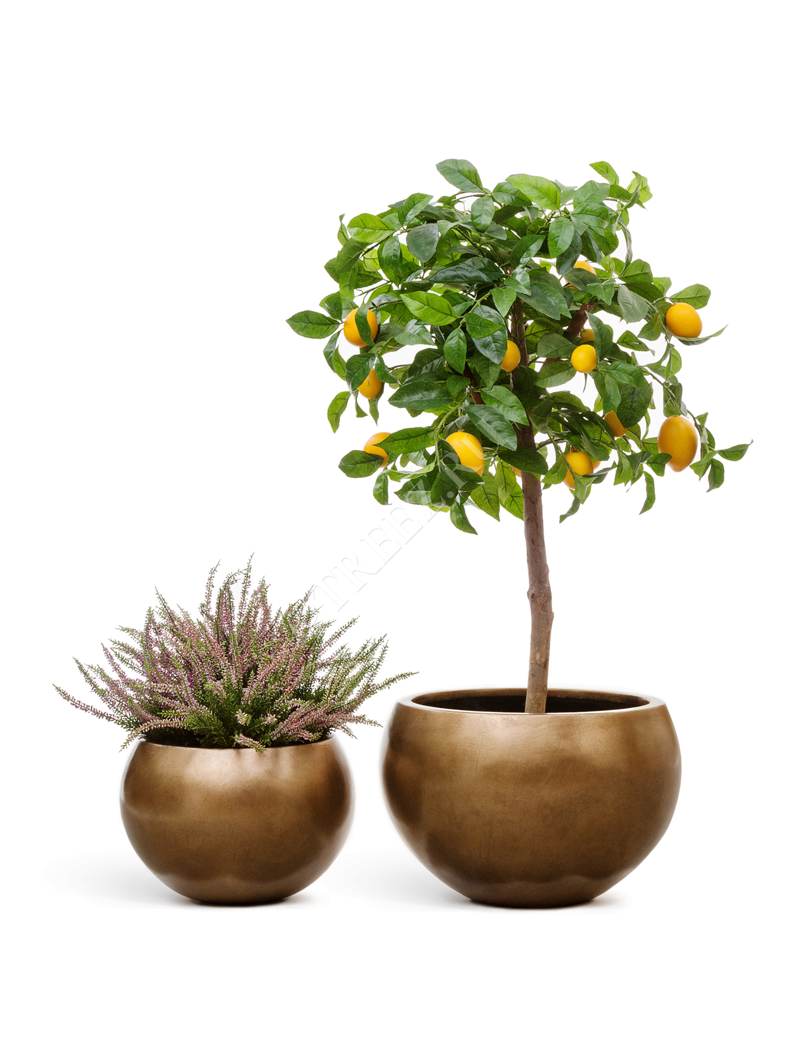 41.3318-04-016-BRS-32 Кашпо  Effectory - серия Metal - Полусфера - Тёмное матовое золото Цветочная коллекция  - Вид №5