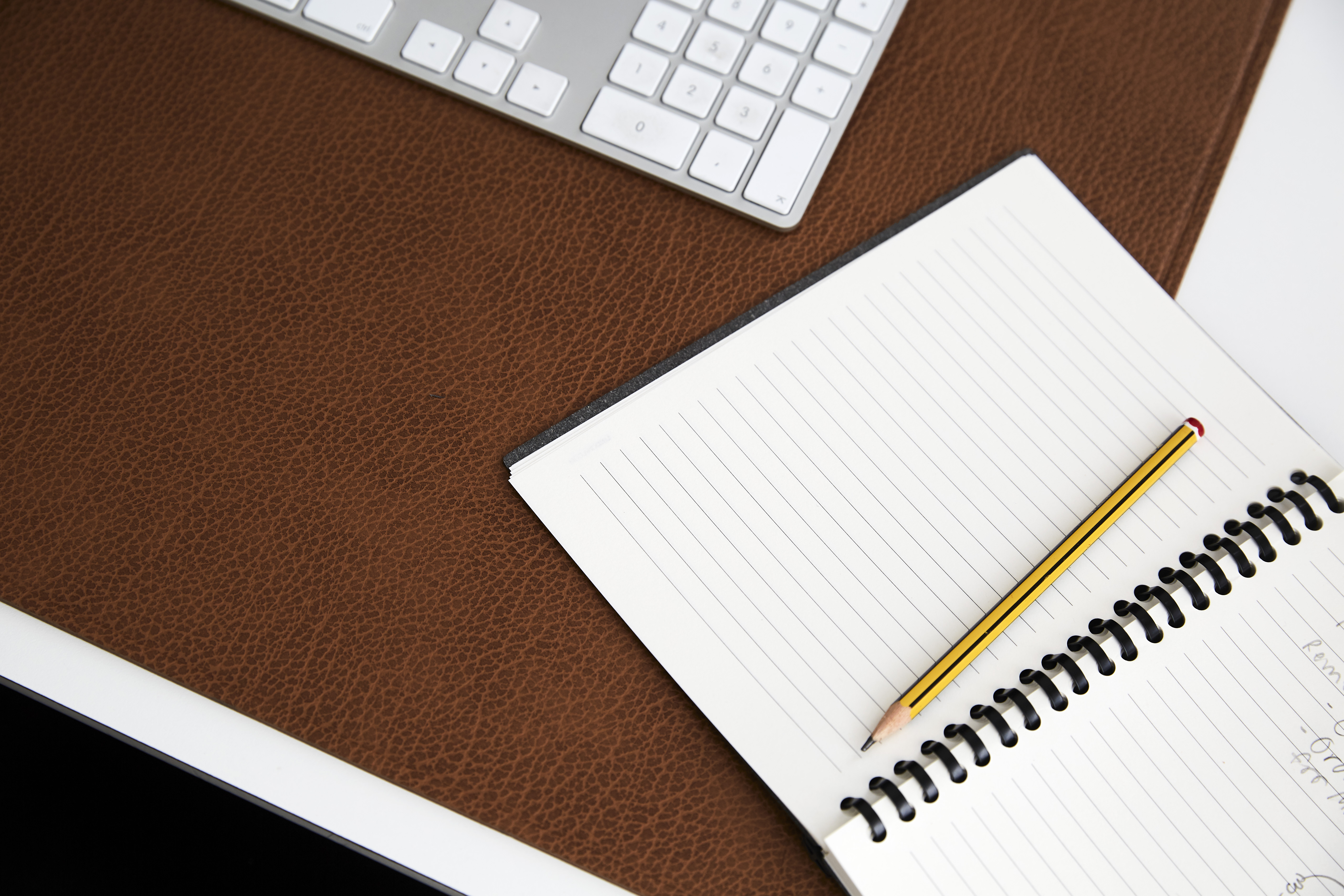 98422 BULL nature бювар с прошивкой 44х64см;LIND DNA - Вид №2