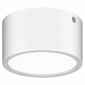 Уличный светодиодный светильник Lightstar Zolla 380163 LIGHTSTAR ZOLLA 220909 Белый