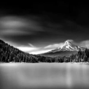 WP02375 Фотообои Verol Фотообои decoline 1х1 м