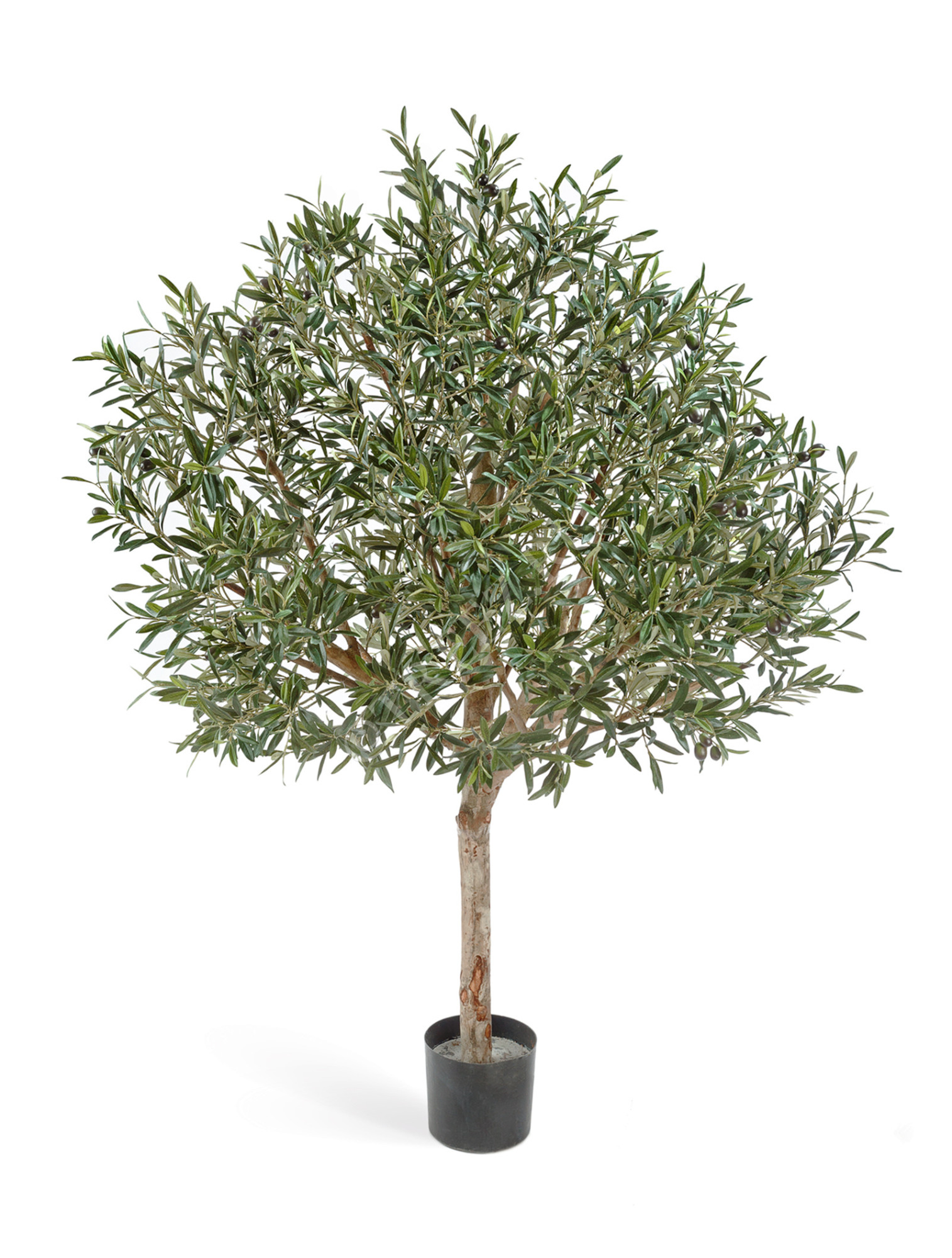 10.27607N Олива натуральная топиари с плодами Цветочная коллекция 