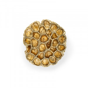 EA1069 PullCast Ручка шкафа COMB Полированная латунь