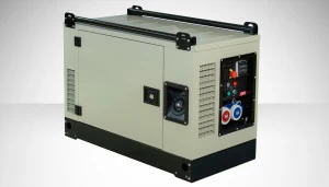 Бензиновый генератор Fogo FV11001CRA
