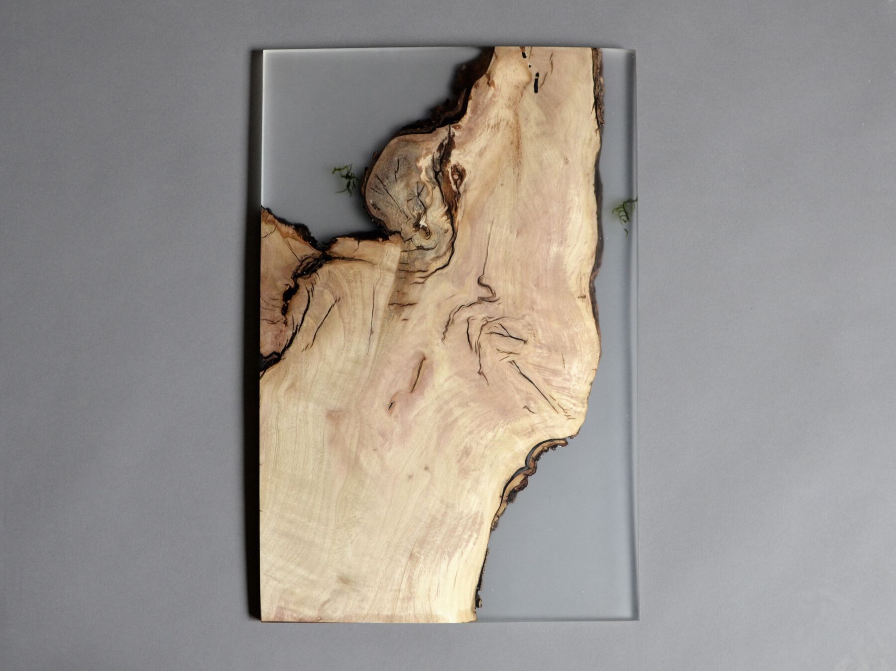 Рамка из массива дерева и смолы alcarol Undergrowth ARCH-00082208