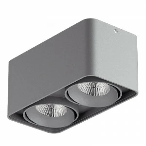 Потолочный светильник Lightstar Monocco 212529 LIGHTSTAR MONOCCO 083159 Серый