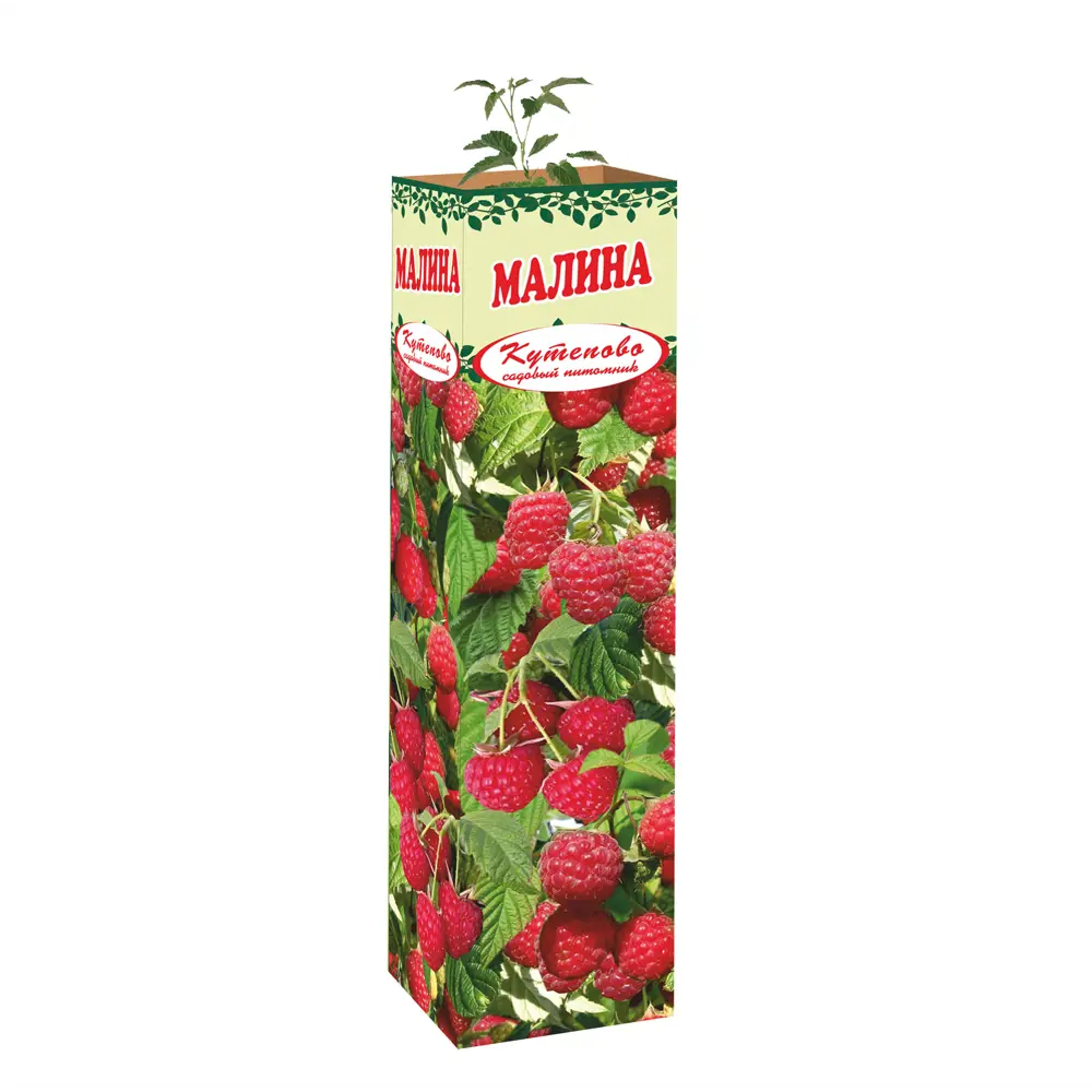 Малина Гусар в тубе 82559187 STLM-2196464 Santreyd 